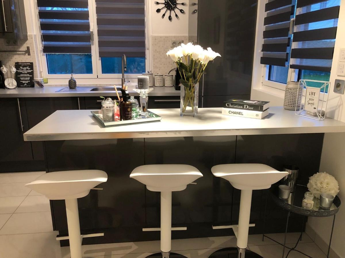 Independent House With Garden - Airport Cdg And Exposition Center Of Villepinte 塞夫朗市 外观 照片